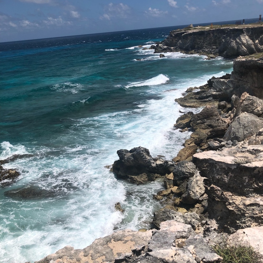 Meet your Posher, Rolanda